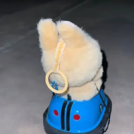 LABUBU 🧸ྀི