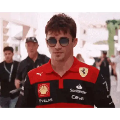 Formula 1  Charles Leclerc 🏎️🏁❤️ preview