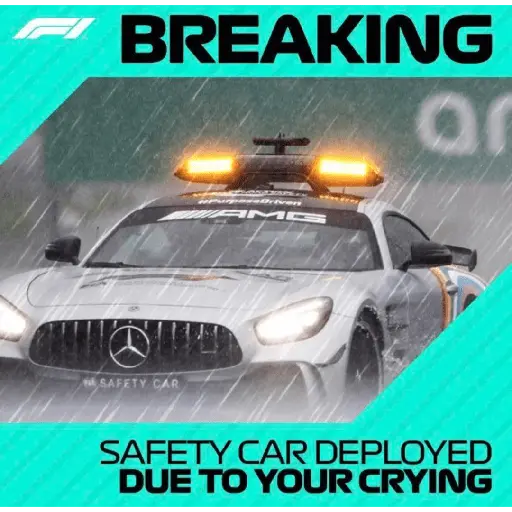 formula 1