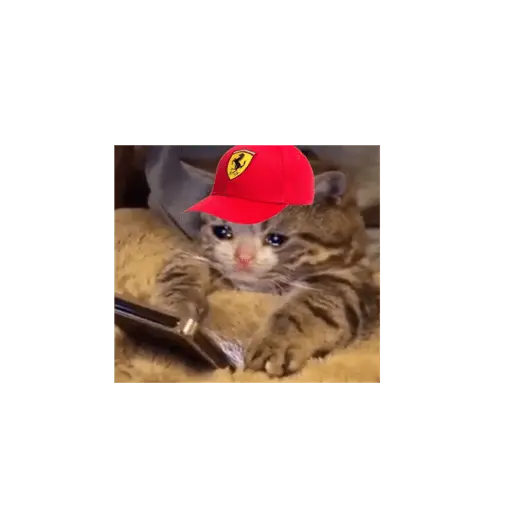 formula 1 