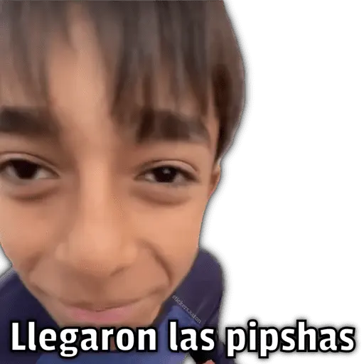 🍕•Ya Llegaron las Pipshash•🍕