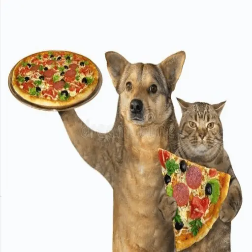 🍕•Ya Llegaron las Pipshash•🍕