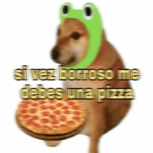 🍕•Ya Llegaron las Pipshash•🍕
