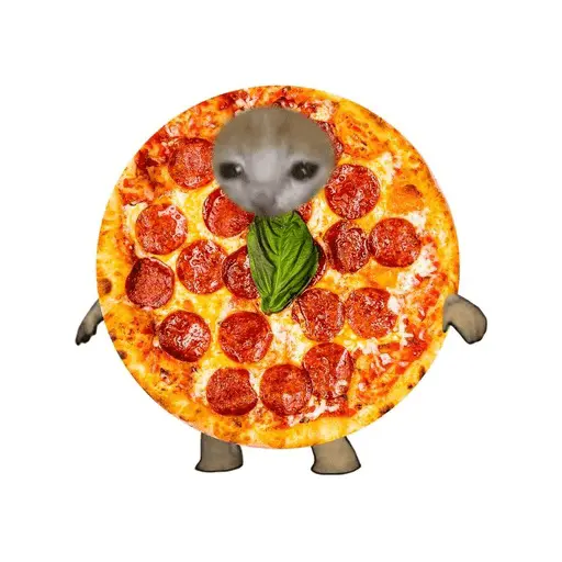 🍕•Ya Llegaron las Pipshash•🍕