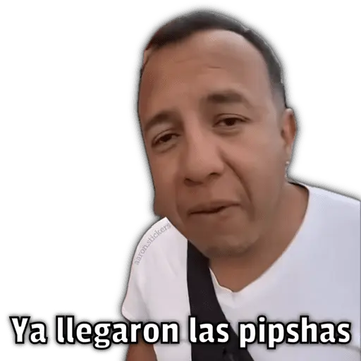 🍕•Ya Llegaron las Pipshash•🍕