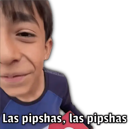 🍕•Ya Llegaron las Pipshash•🍕