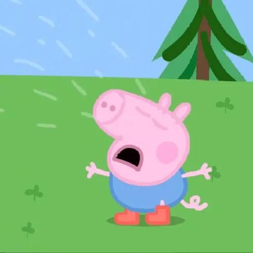 🐖 George Cerdito Random🐷 preview