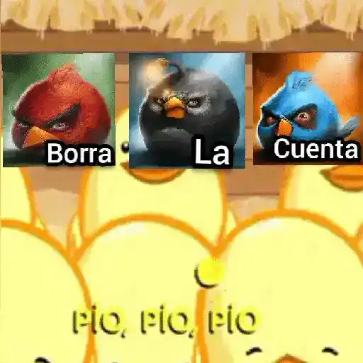 💫Los pollitos Borra la cuenta🐥 preview
