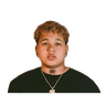 tray-icon