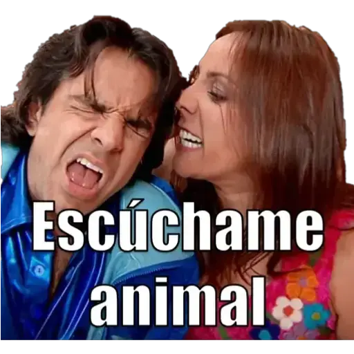 familia peluche