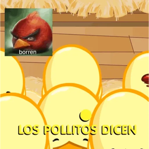 🐥los pollitos dicen🗣️