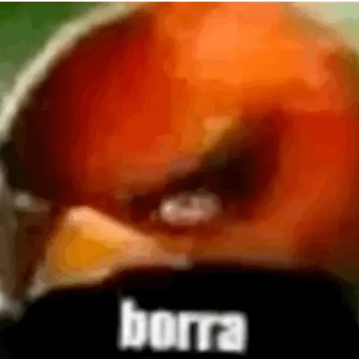 🐥los pollitos dicen🗣️
