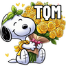 tray-icon