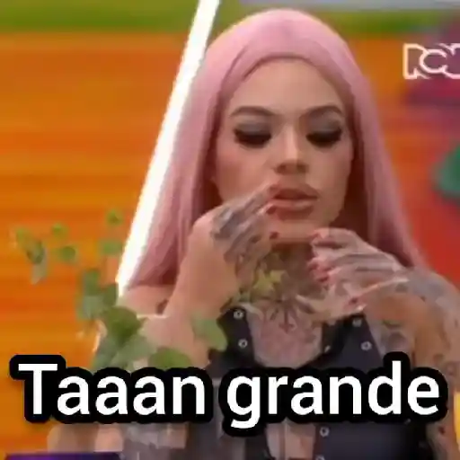 🇨🇴 La casa de los Famosos ✨🇨🇴 preview