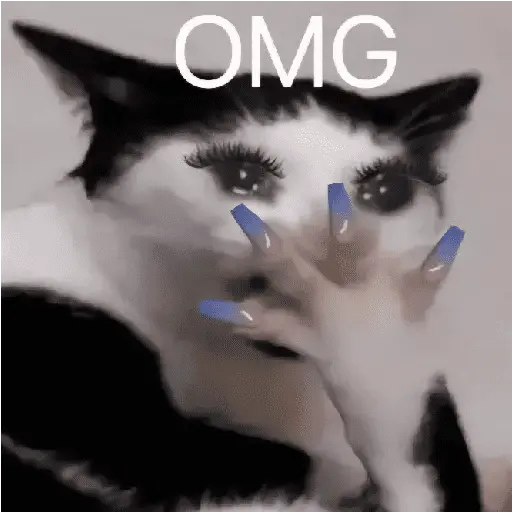 Michis para Reaccionar #𝟙 🐾