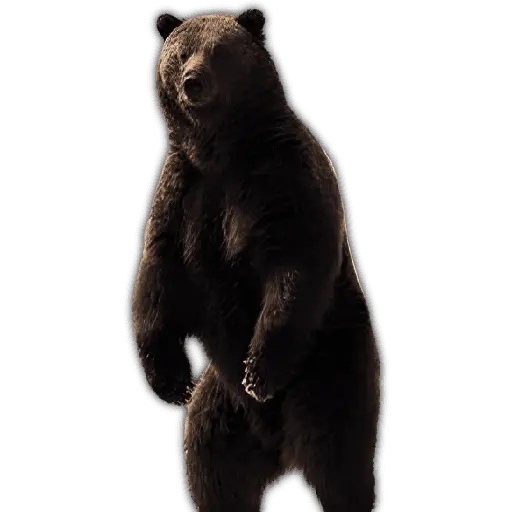 🐻🦓🦁Otorrinolaringólogo ❤️‍🔥🤤