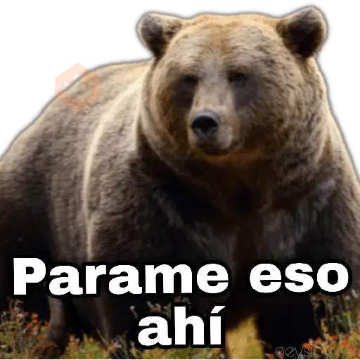 🐻🦓🦁Otorrinolaringólogo ❤️‍🔥🤤