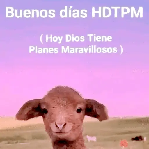 🐶🐱🐵 ANIMALITOS 🐵🐱🐶