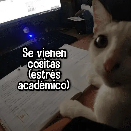 Reacciones MIX #➎ 👌🏻