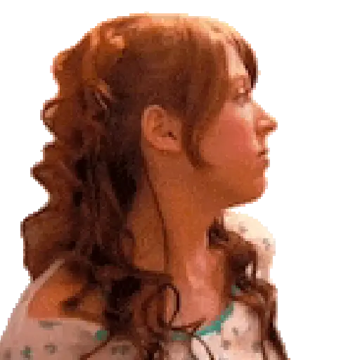 🌻Floricienta Flores Amarillas🌻