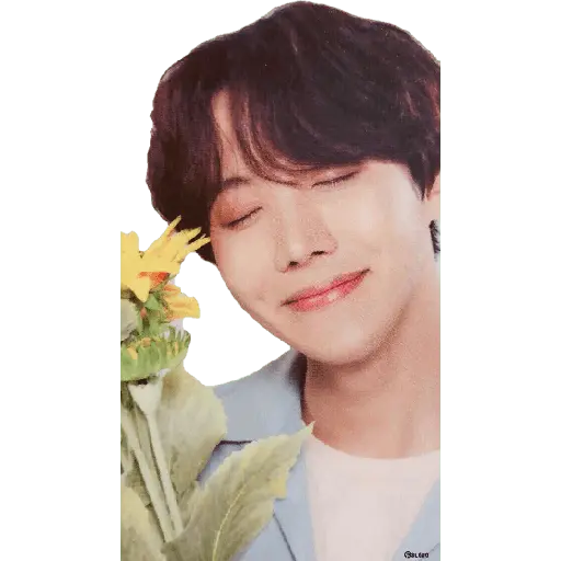 bts flores amarillas🌻🌼
