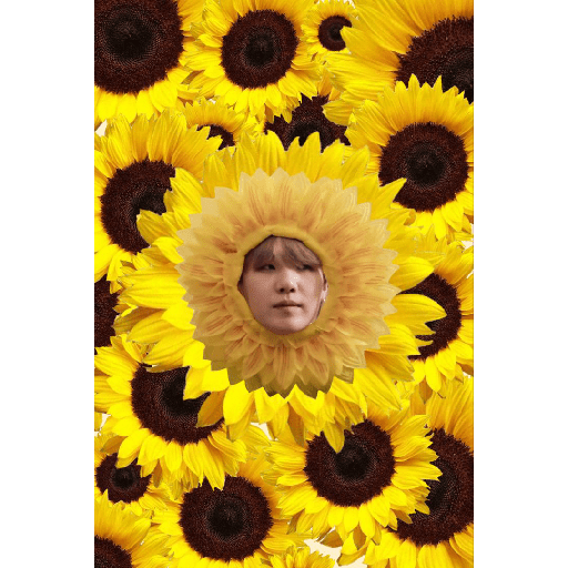 bts flores amarillas🌻🌼 preview