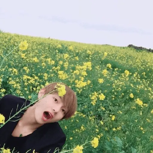 bts flores amarillas🌻🌼