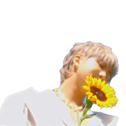 bts flores amarillas🌻🌼
