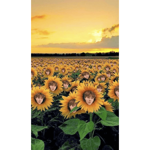 bts flores amarillas🌻🌼 preview