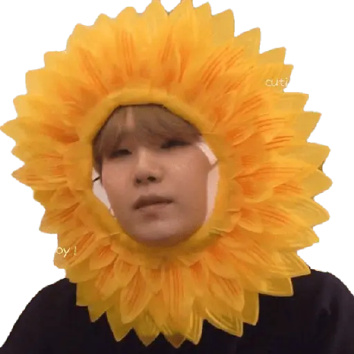 bts flores amarillas🌻🌼