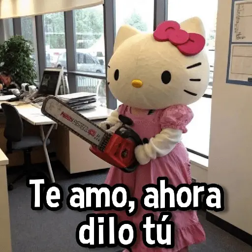 Hello kitty🌸💕🩷