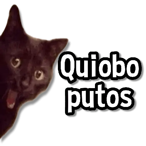 Memes Más Usados #2😎
