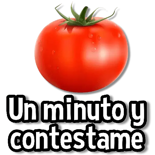 Memes Más Usados #2😎