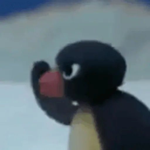 pingu animadas
