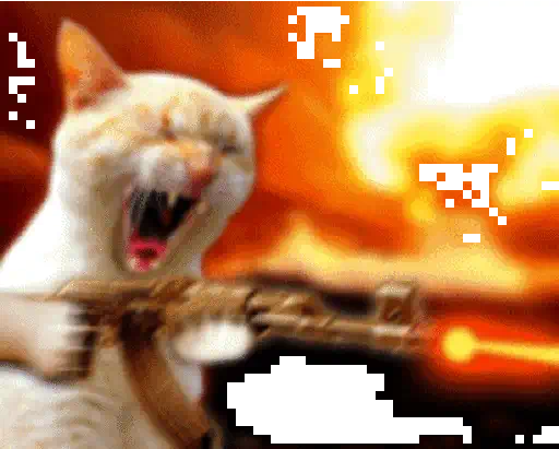 Gatos lol - tiktok 😹 preview