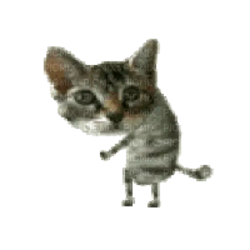 Gatos lol - tiktok 😹