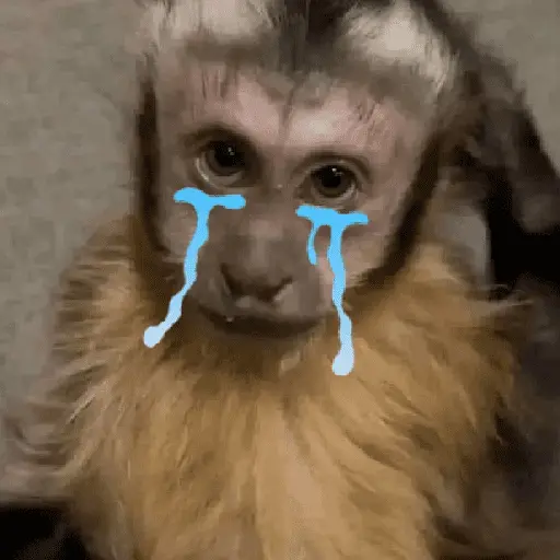 Monos tristes Random🙈