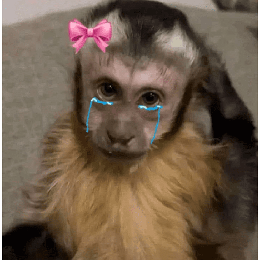 Monos tristes Random🙈 preview