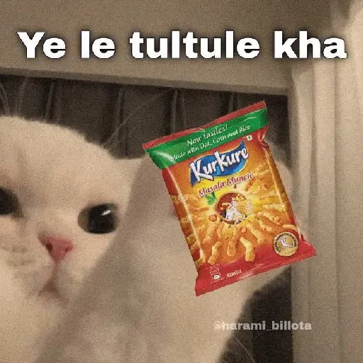 Meow Memes-2😼