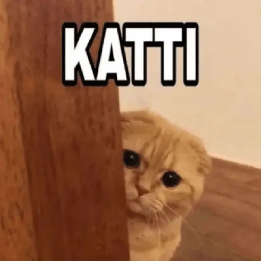 Meow Memes-2😼