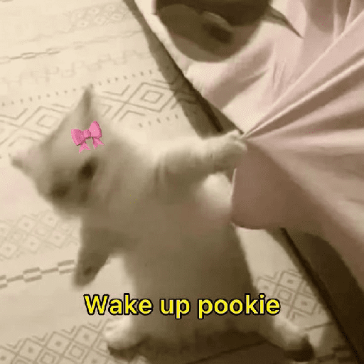 Meow Memes-2😼 preview