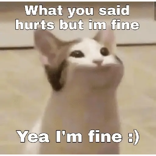 Meow Memes-2😼