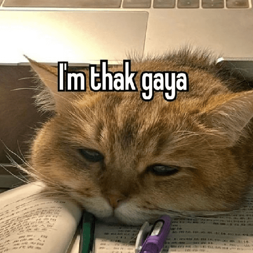 Meow Memes-2😼 preview