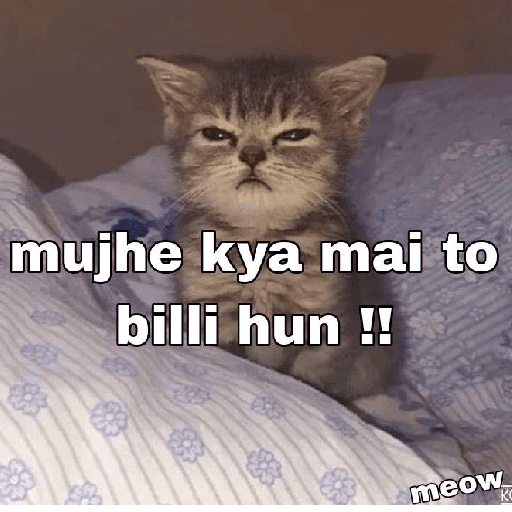Meow Memes-2😼 preview