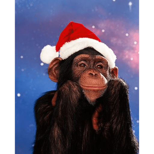 Monos navideños😜😙 preview