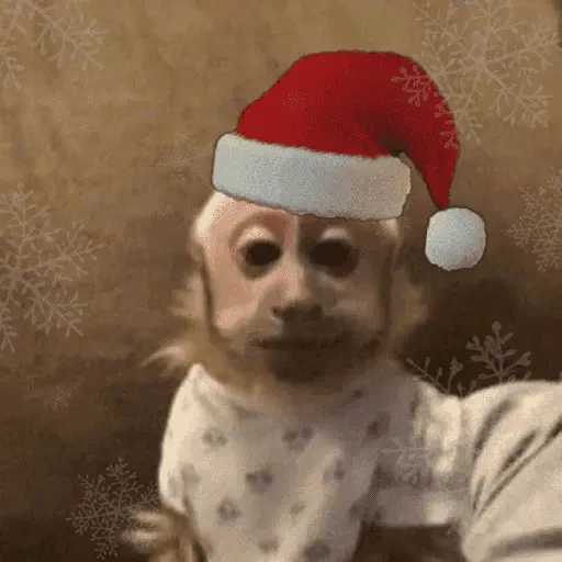 Monos navideños😜😙