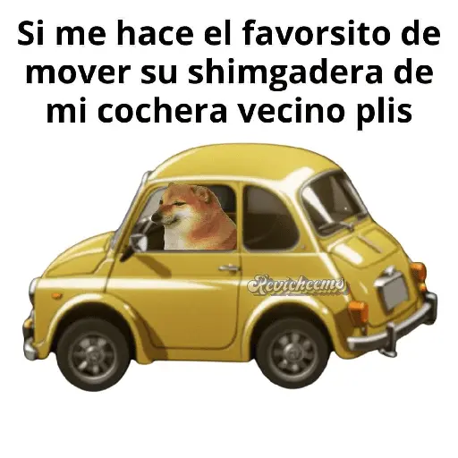 cheems primavera