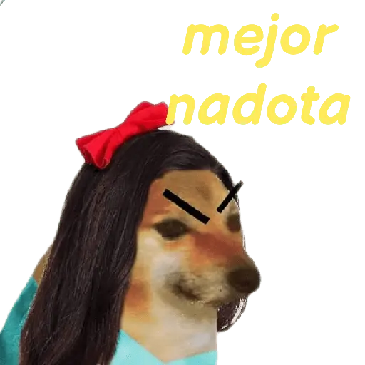 cheems primavera