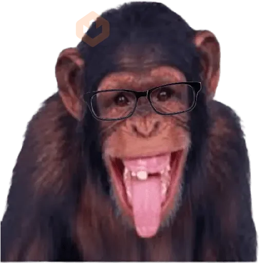 Monos 🐵 changos 🙉 sticker 13