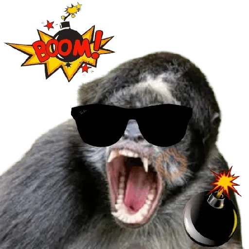 Monos 🐵 changos 🙉 sticker 15